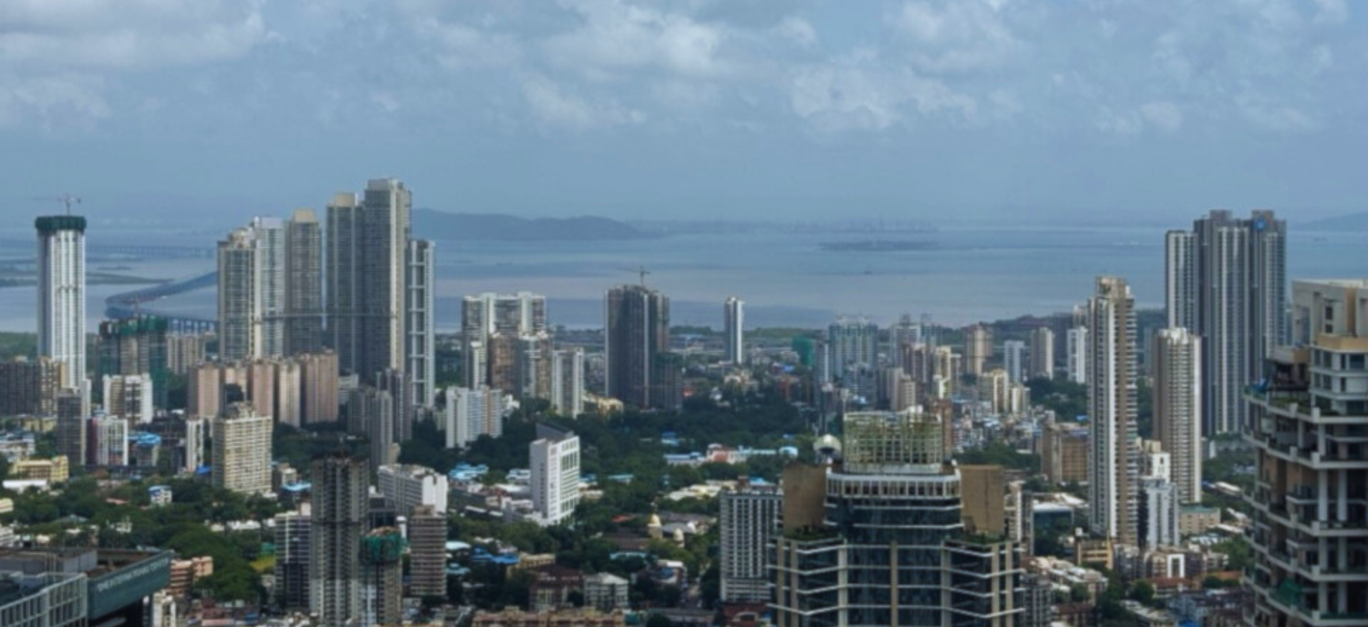 Thackersey Group expertise background